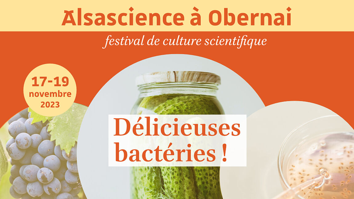 alsascience 2023 - delicieuses bacteries - jardin des sciences - le lieu documentaire - mois du film documentaire - mois du doc - obernai - alsace - visuel