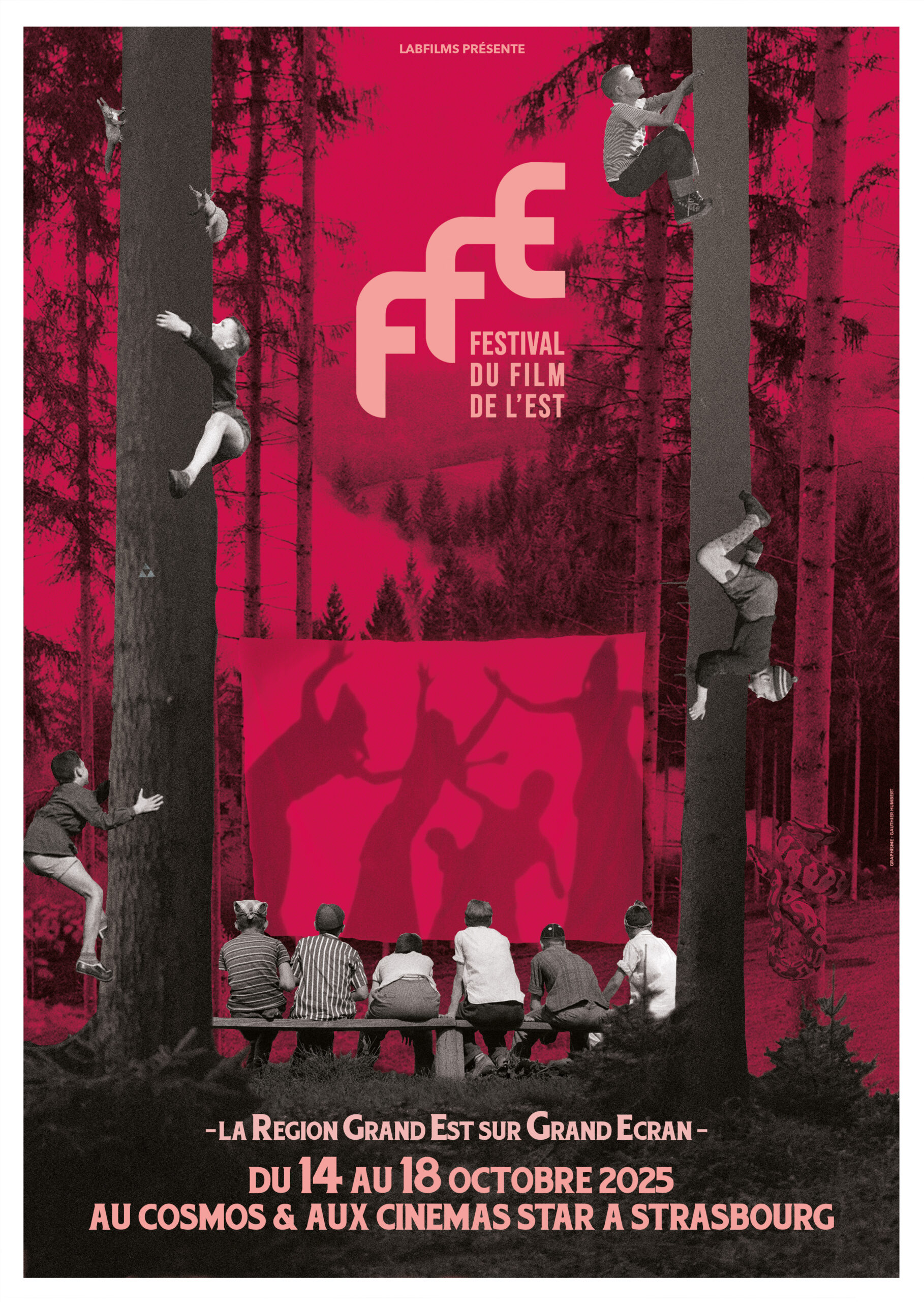 Affiche 2025 FFE - festival film de l'est - le lieu documentaire