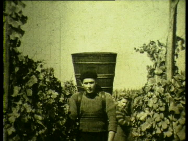 31 - La fin d'un monde - Le vin