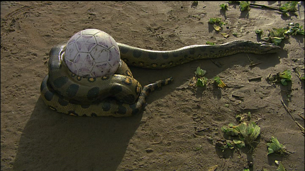 Et Dieu créa... le foot (2)