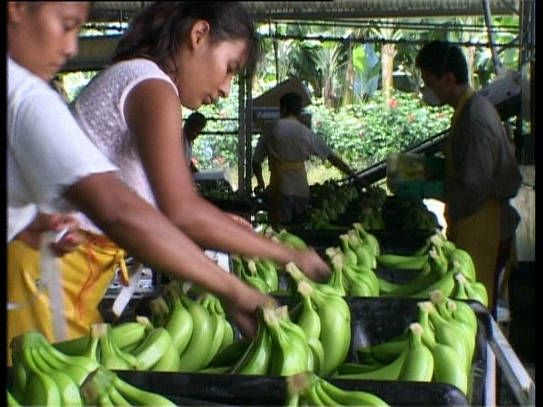 Femmes des bananeraies (2)