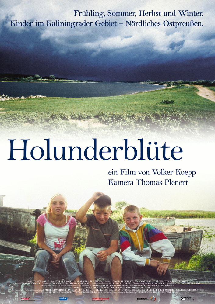 Holunderblute