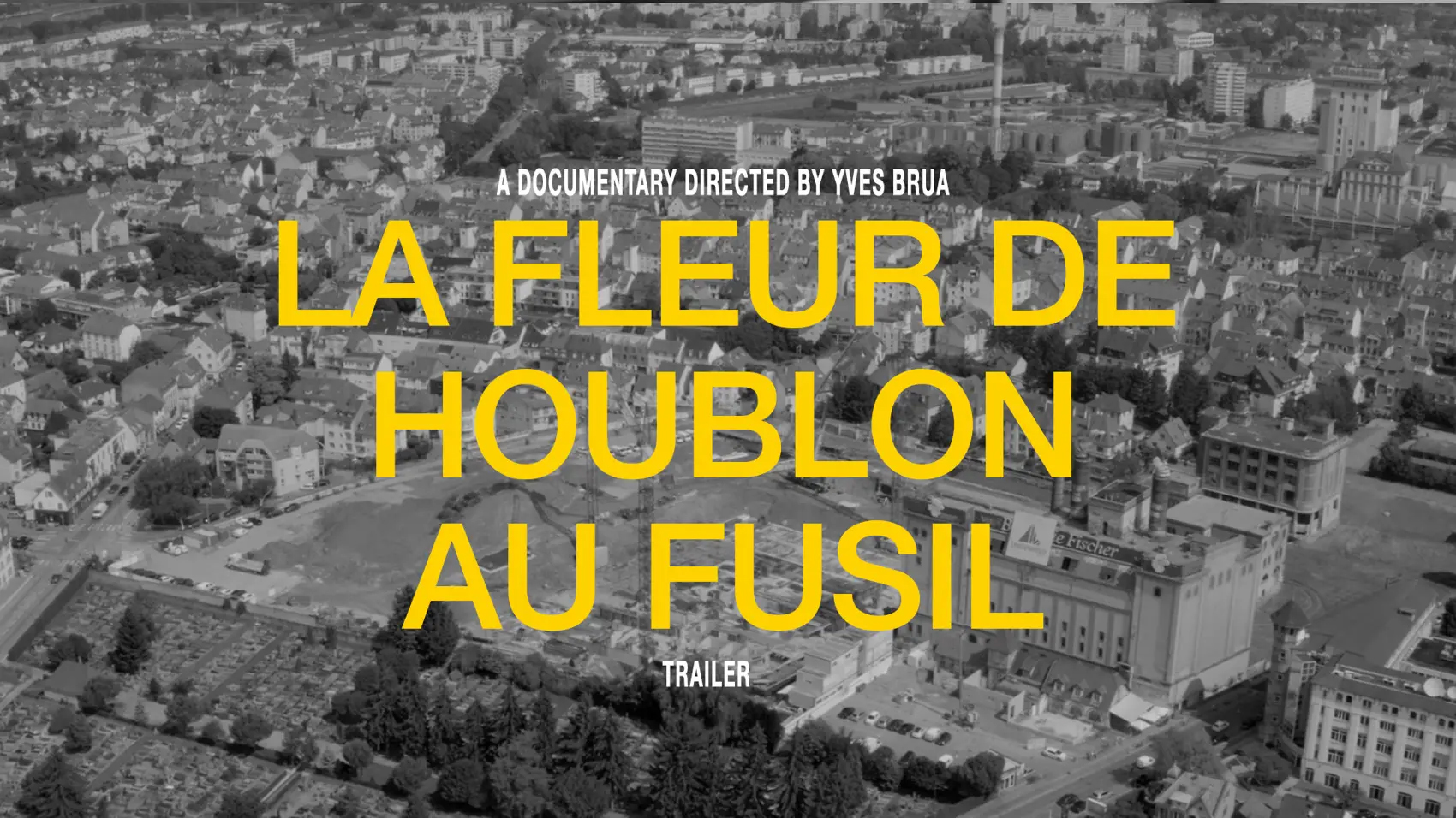 La-fleur-de-houblon