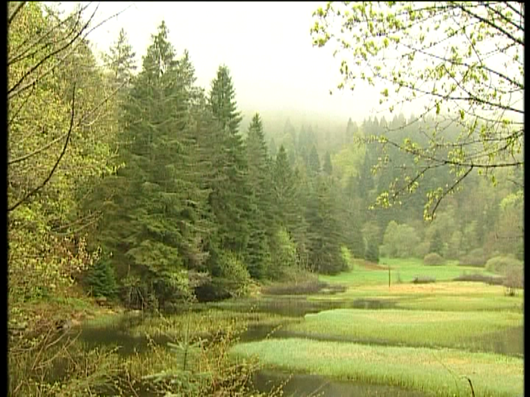 Pionniers du paysage (Les) (2)