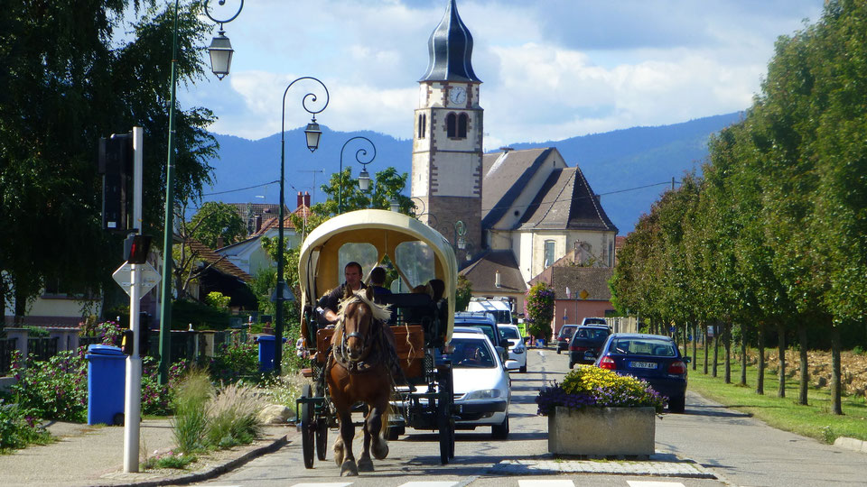 Sacré village ! Ungersheim en transition - Marie-Monique Robin