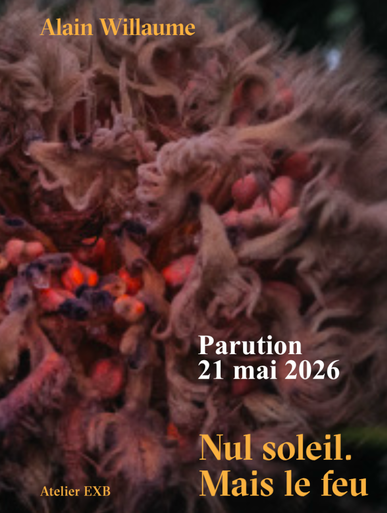 alain willaume - nul soleil. Mais le feu - atelier exb - le lieu documentaire
