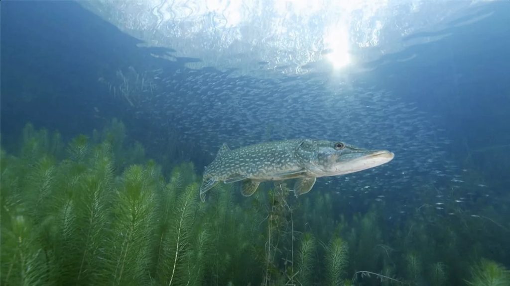 le-fleuve-invisible-serge-dumont-rhin-le-lieu-documentaire