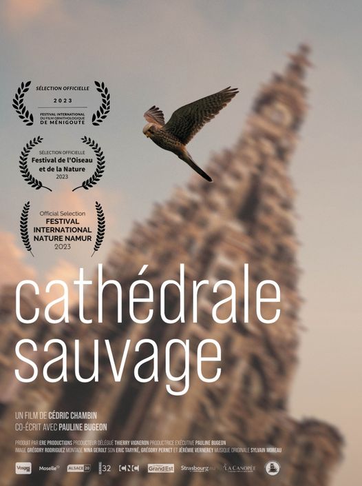 cedric chambin - pauline bugeon - mathieu baud - Cathédrale Sauvage - le lieu documentaire - alsace - strasbourg