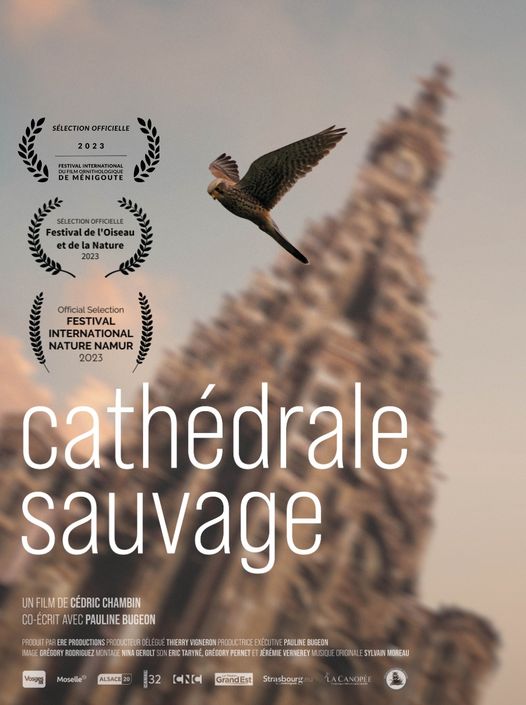 cedric chambin - pauline bugeon - mathieu baud - Cathédrale Sauvage - le lieu documentaire - alsace - strasbourg