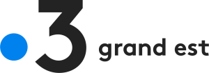 LLD_Logo_France3_GrandEst-lelieudocumentaire