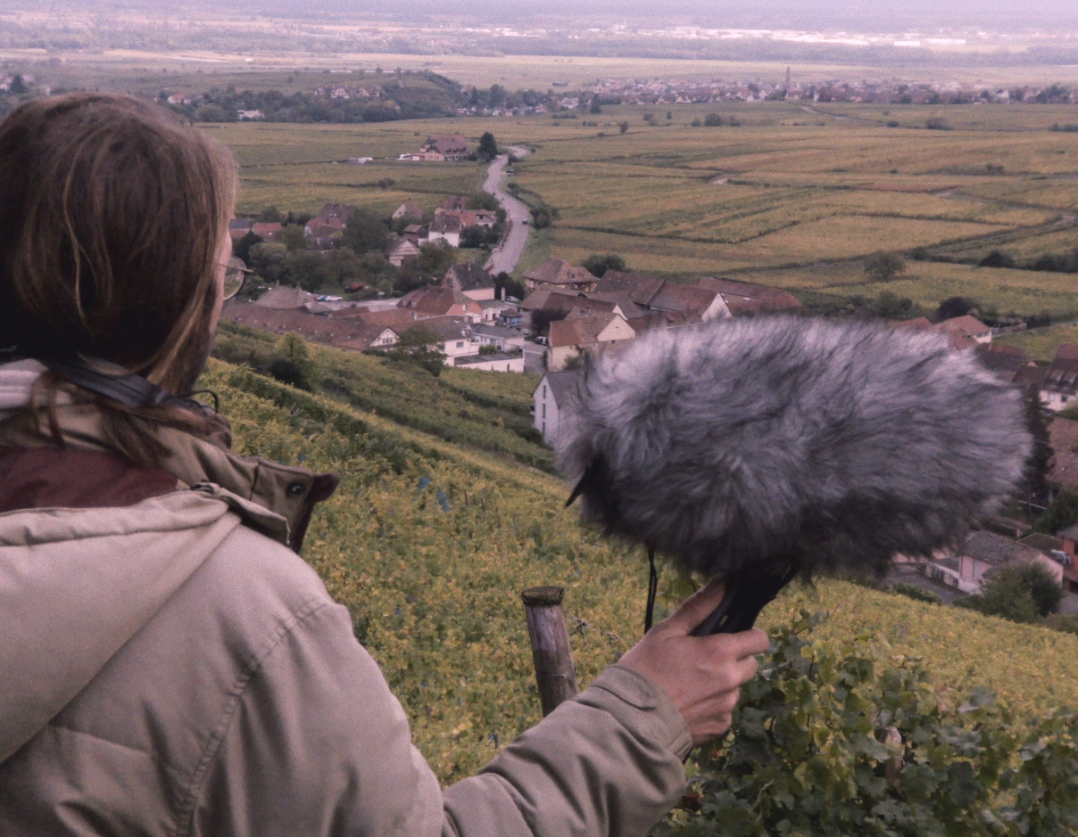 VendangerFatigue-QuentinBernard-lelieudocumentaire-alsace-01