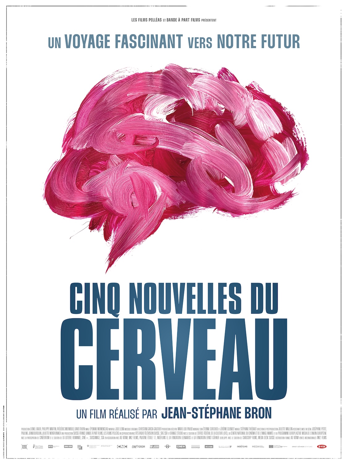 Jean-Stéphane BRON - cinq nouvelles du cerveau - le lieu documentaire copie