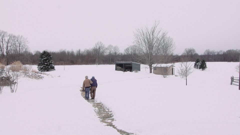 I like it here- Ralph Arlyck-filmer la ville-le lieu documentaire-strasbourg