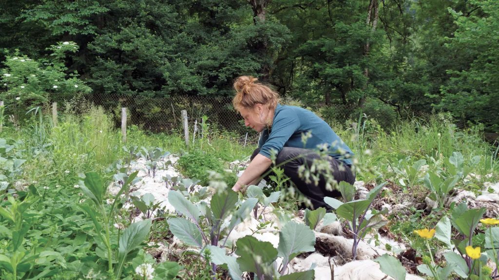 Champ de luttes semeurs d’utopie - Mathilde Syre - cinema cosmos - strasbourg - le lieu documentaire - festival arsmondo - onr - opera national du rhin