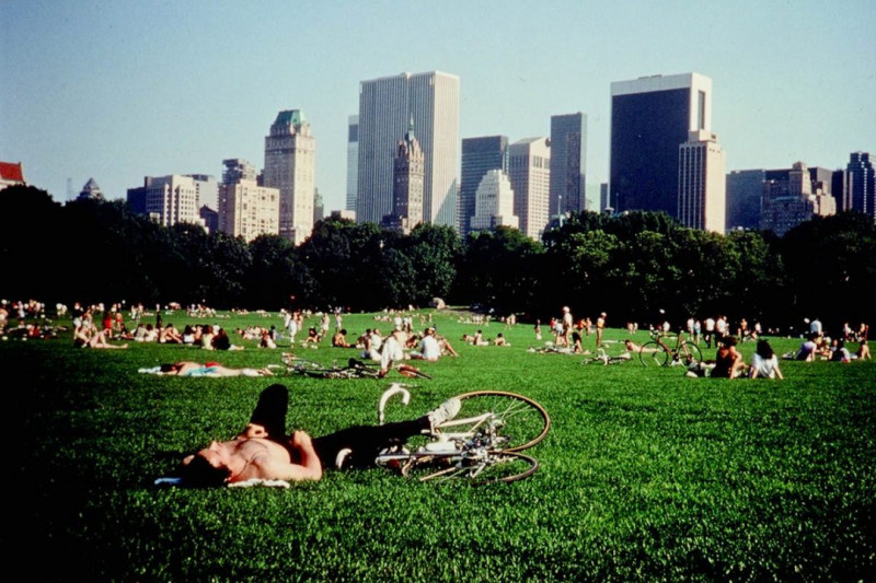 central-park-frederick wiseman - le lieu documentaire