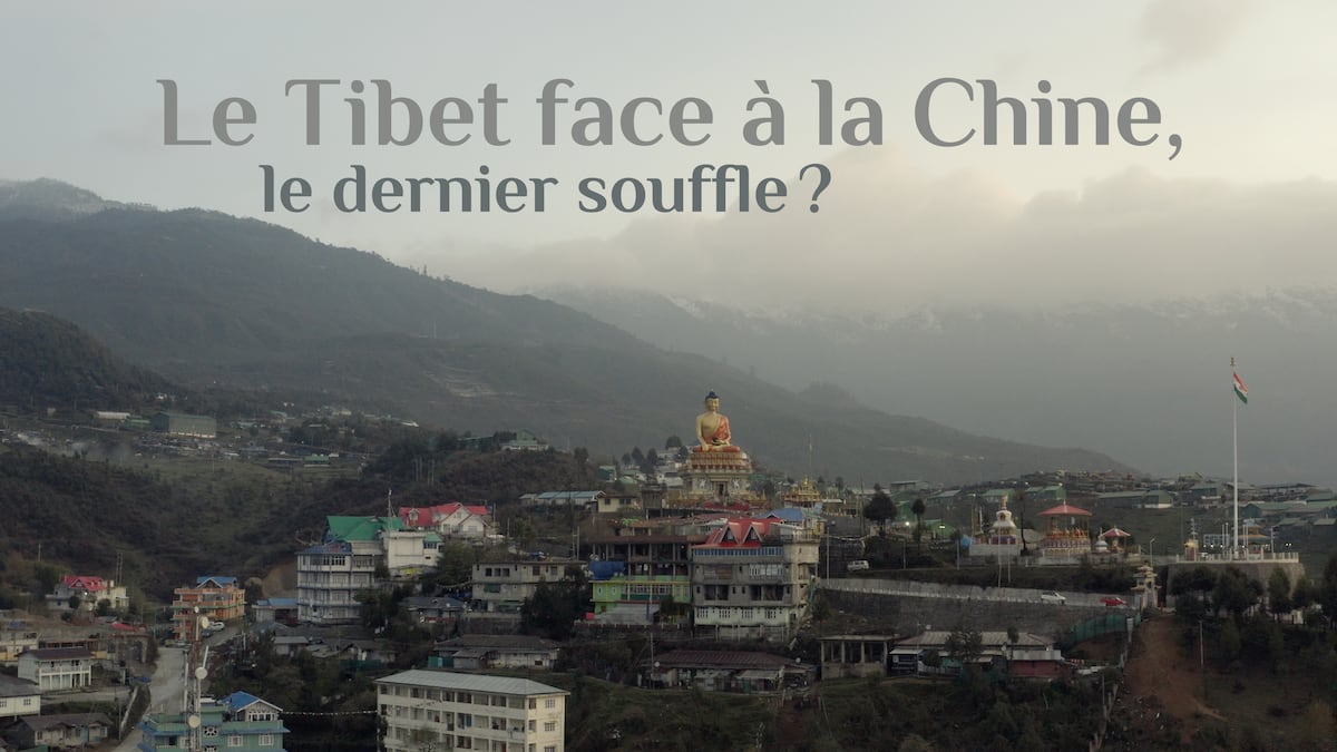 le tibet face à la chine - françois reinhardt - aurine crémieux - le lieu documentaire