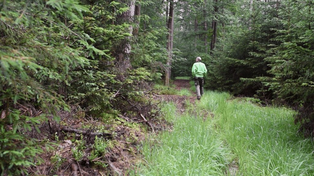 l'espoir des forets-yves entenich - le lieu documentaire-03