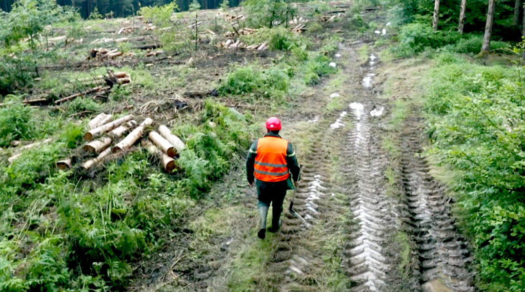 lespoir-des-forets-yves-entenich-le-lieu-documentaire