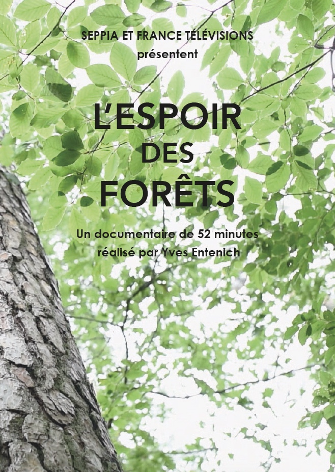 l'espoir des forets-yves entenich - le lieu documentaire-aff