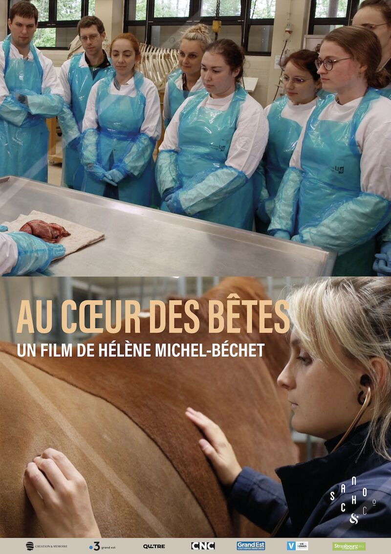 au coeur des betes - helene michel-bechet - le lieu documentaire - ffe 2025 - festival film est1747226035605