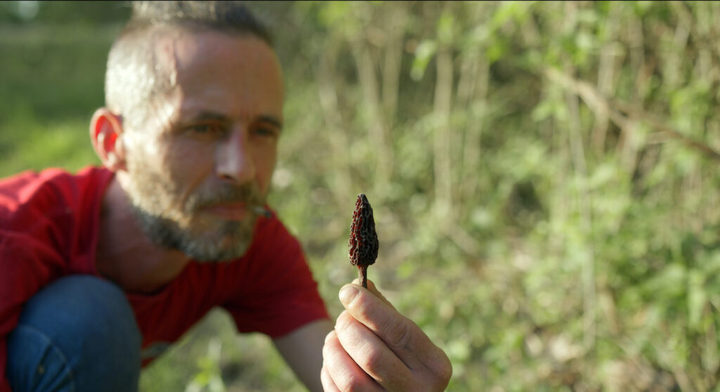 Symbioses - Axel Cohen - le lieu documentaire5