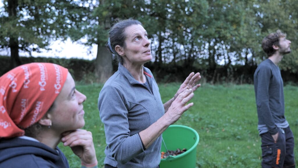 croire aux arbres - damien fritsch - Karine Marsilly - le lieu documentaire - ana filmsCroire aux arbres COM