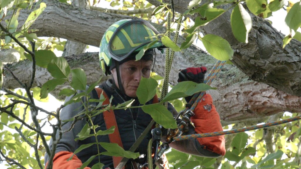 croire aux arbres - damien fritsch - Karine Marsilly - le lieu documentaire - ana filmsCroire aux arbres COM 2