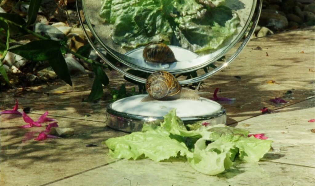 Saintonge_Giratoire_Papapietro-Quentin Papapietro-le lieu documentaire