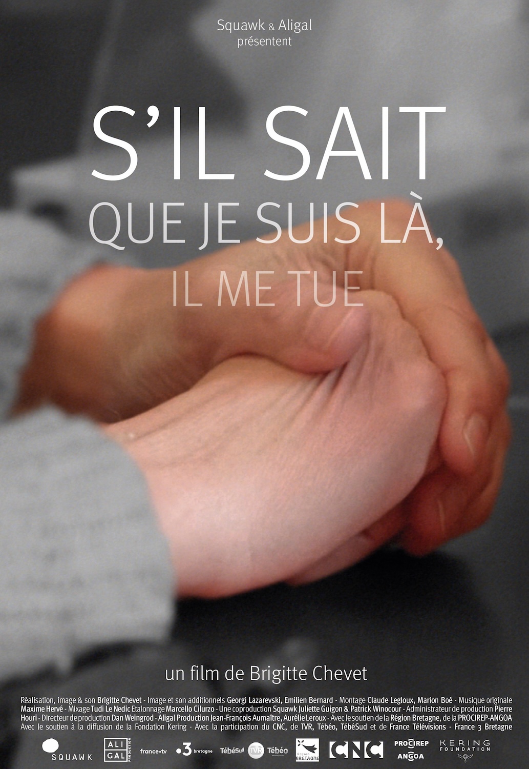 s'il sait que je suis là il me tue-Brigitte Chevet- le lieu documentaire_affiche