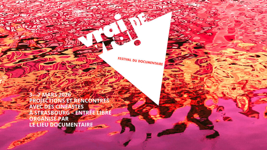 appel a pitch - VRAI DE VRAI - festival documentaire Strasbourg mars 2026 - le lieu documentaire - scam- ina - france televisions - ici grand est