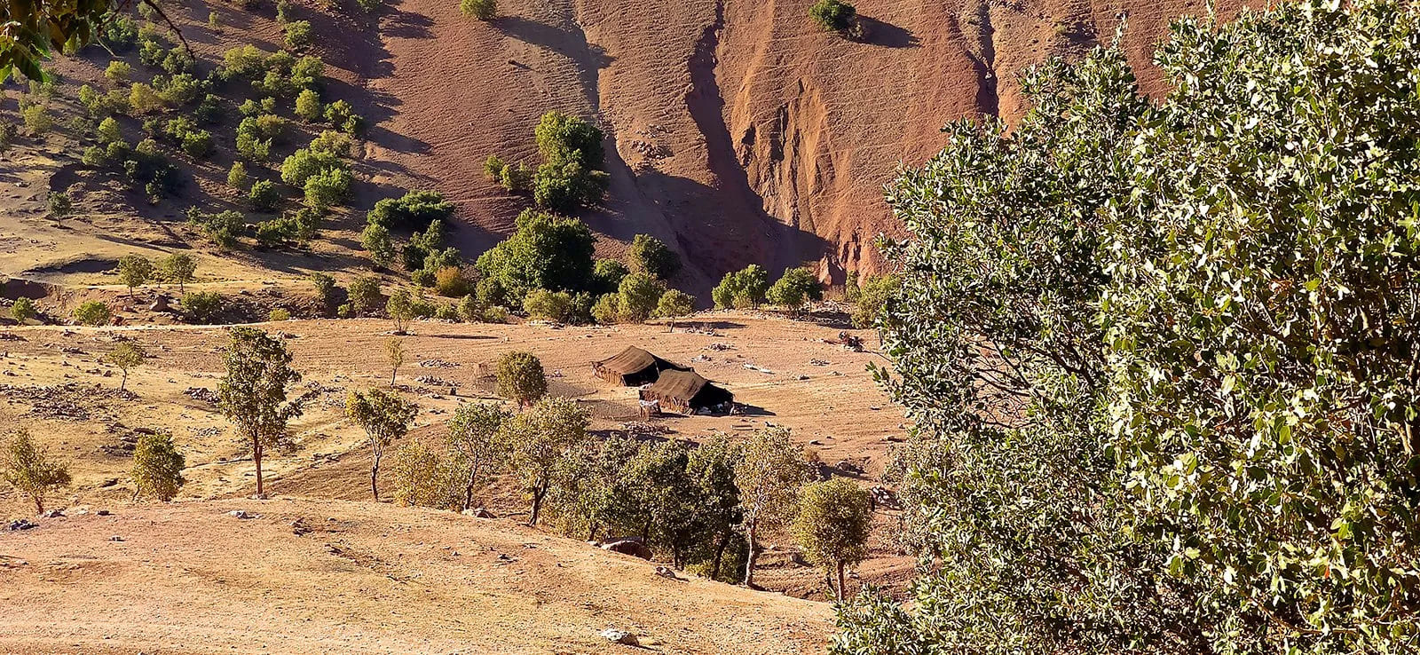 Les-nomades-de-Zagros-Omid-Hashemi-le-lieu-documentaire-02