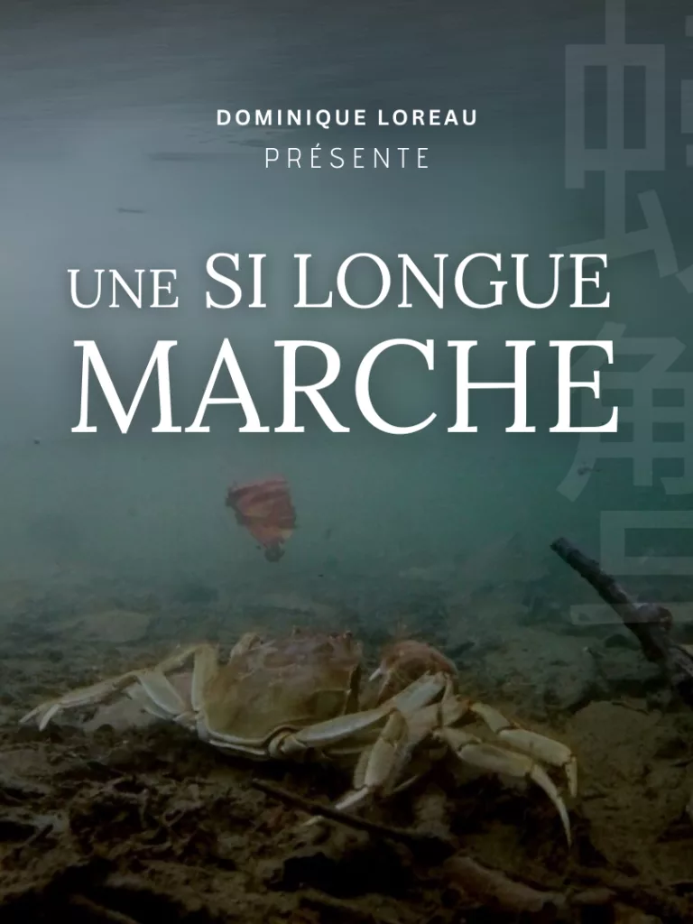 Une-si-longue-marche-dominique-loreau-le lieu documentaire