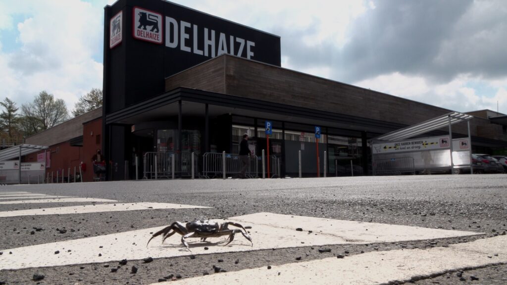 une-si-longue-marche-dominique loreau - le lieu documentaire