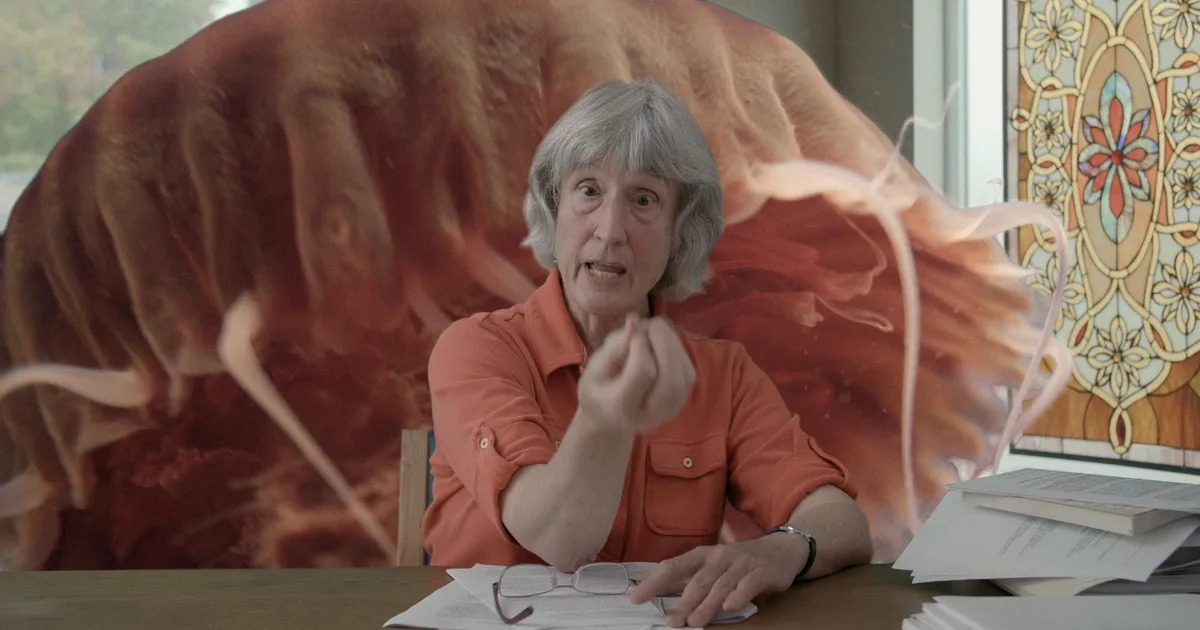 Donna Haraway - Story Telling for Earthly Survival - Fabrizio Terranova - 2016 - le lieu documentaire