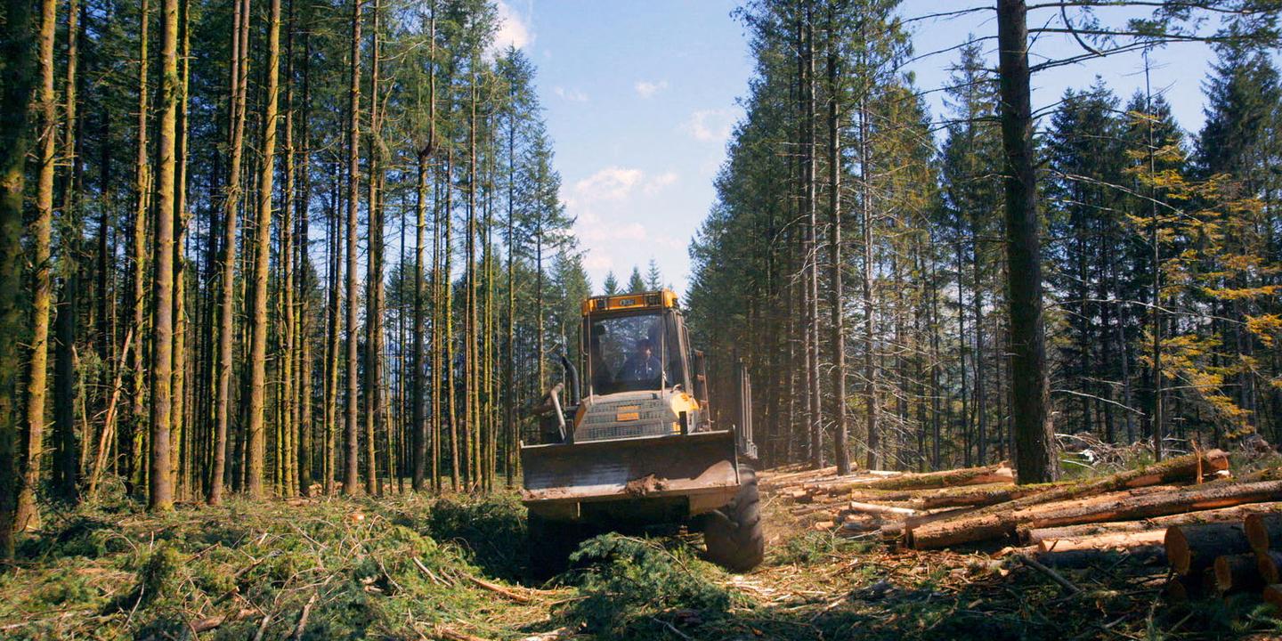 François-Xavier Drouet - Le Temps des forêts - le lieu documentaire - 02